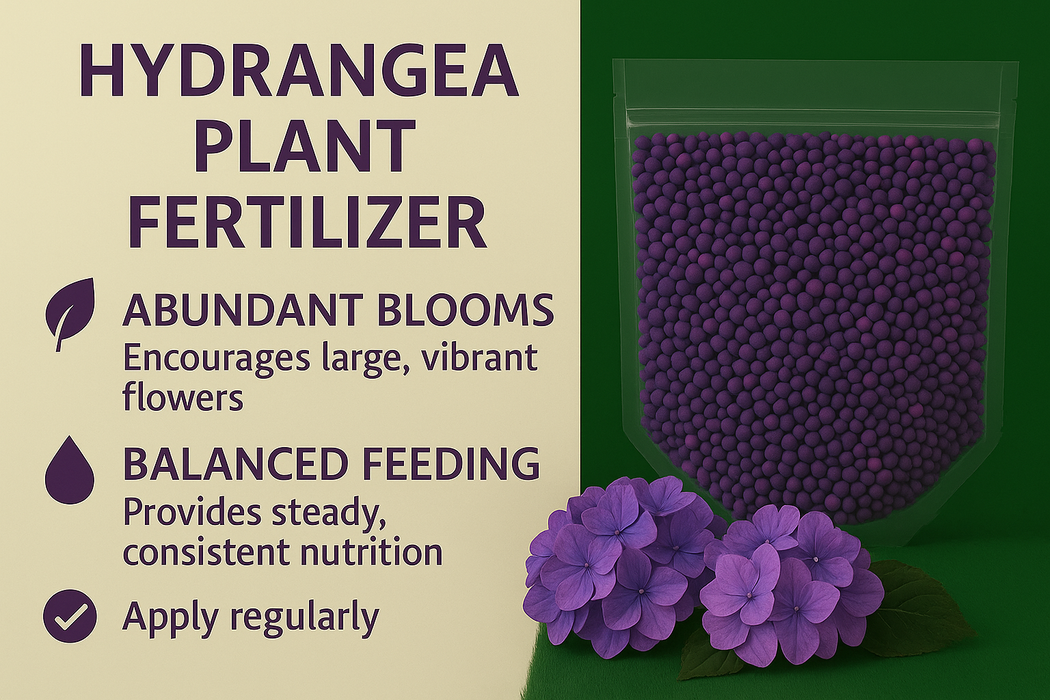 Hydrangea Plant Fertilizer