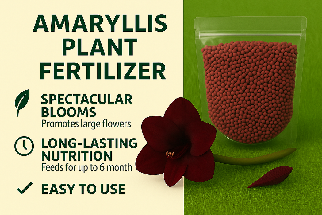 Amaryllis Plant Fertilizer