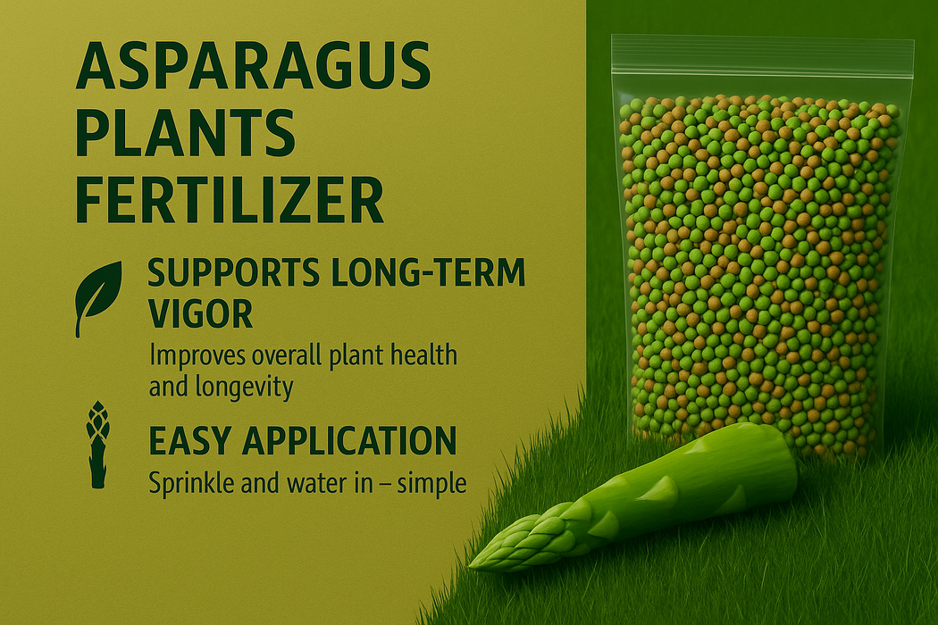Asparagus Plant Fertilizer