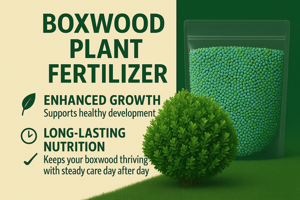 Boxwood Plant Fertilizer