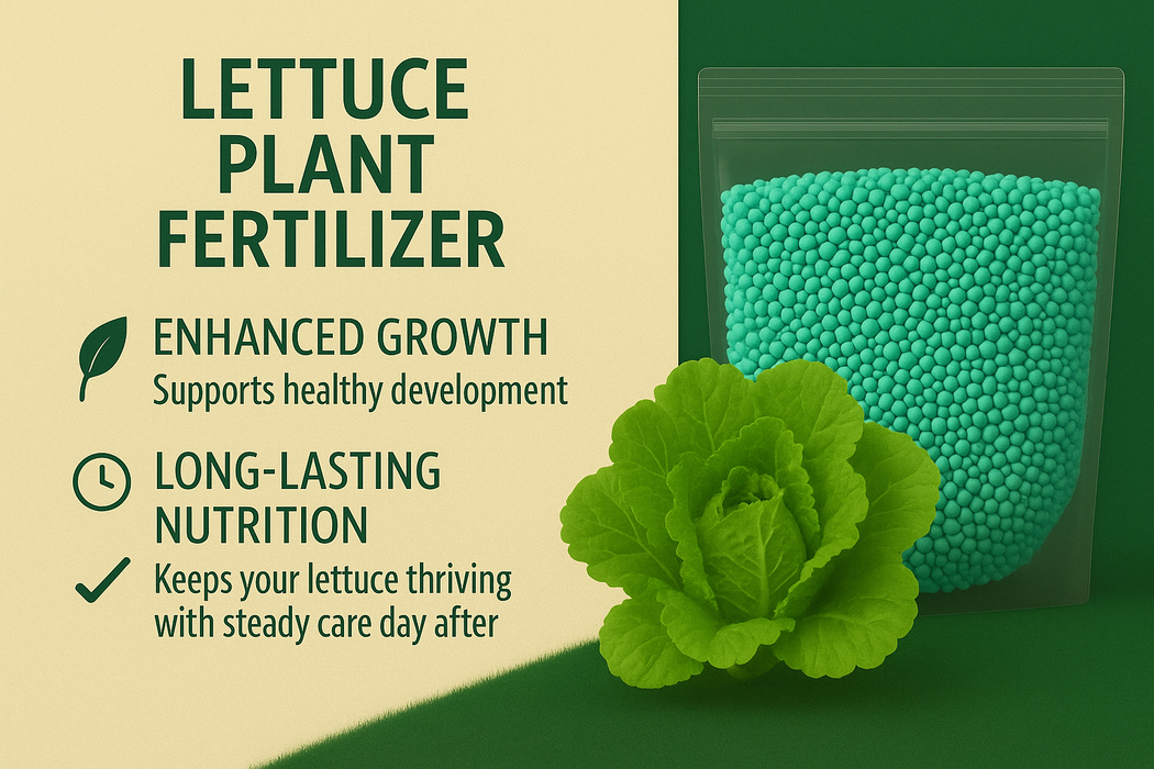 Lettuce Plant Fertilizer