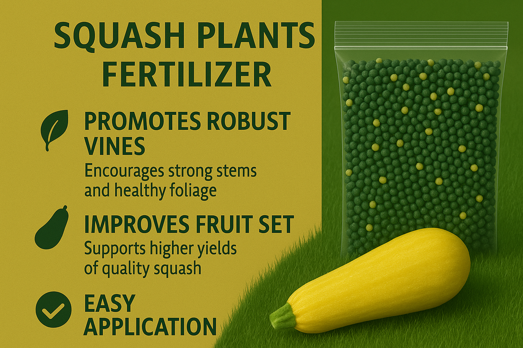 Squash Plant Fertilizer