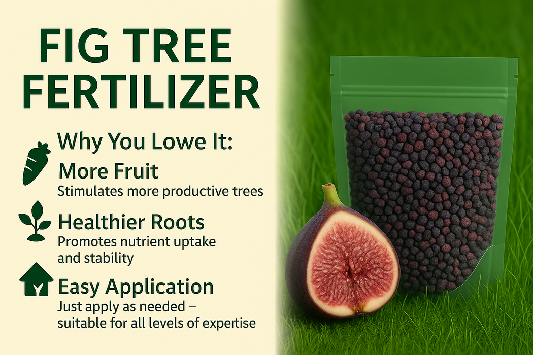 Fig Tree Fertilizer