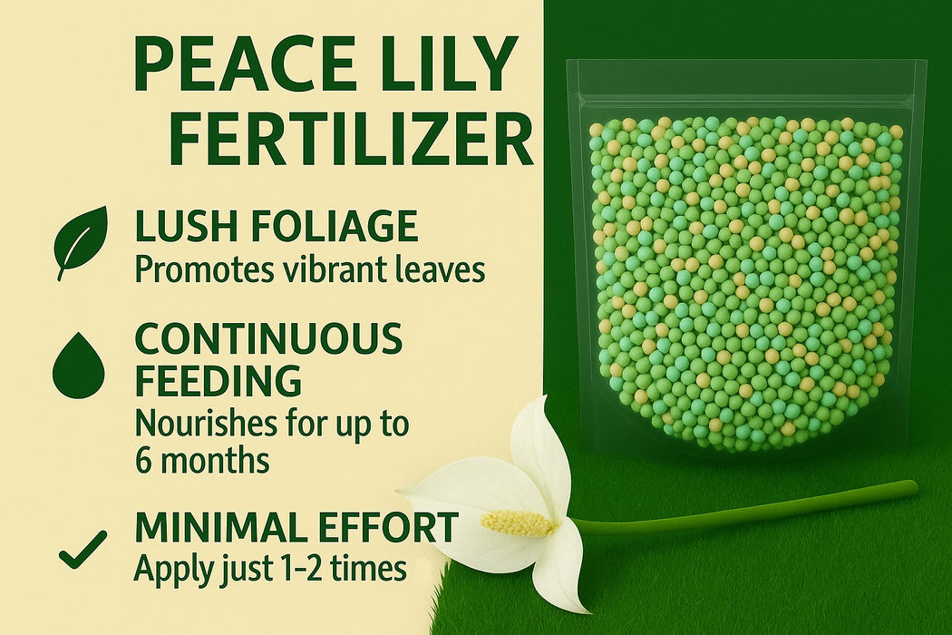 Peace Lily Plant Fertilizer