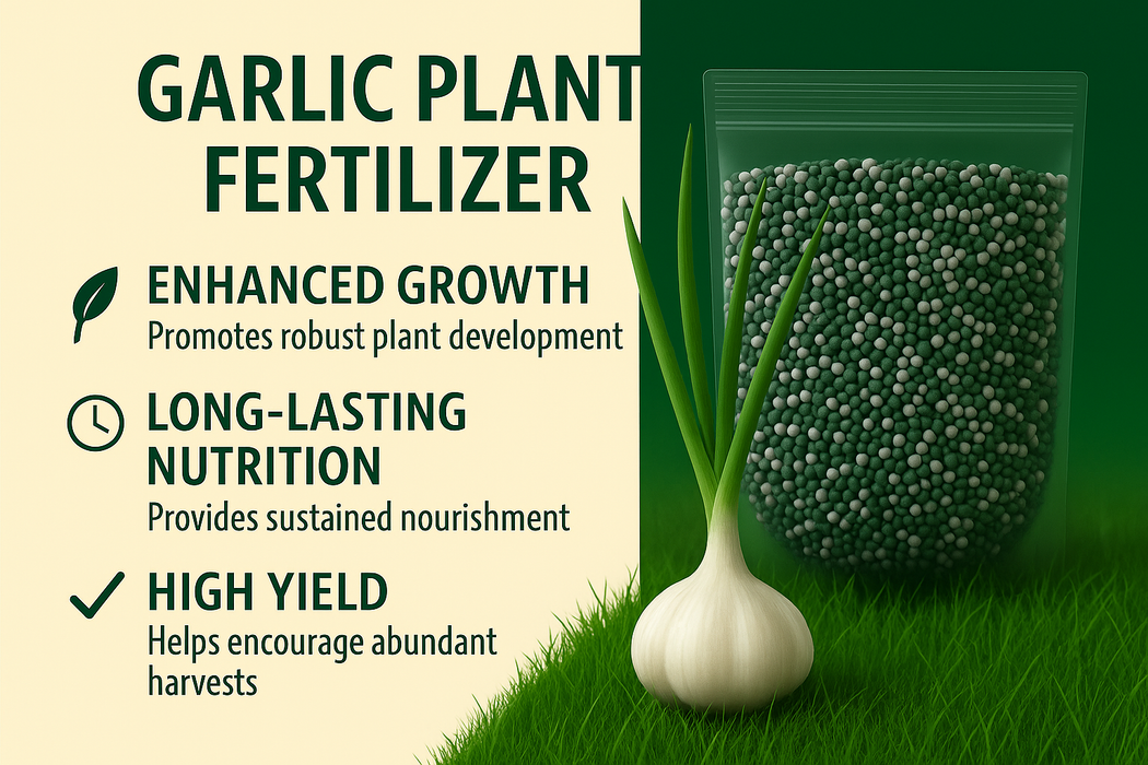 Garlic Plant Fertilizer