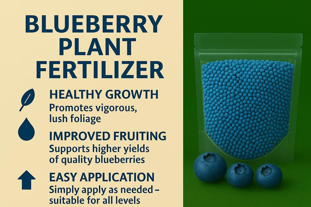 Blueberry Plant Fertilizer