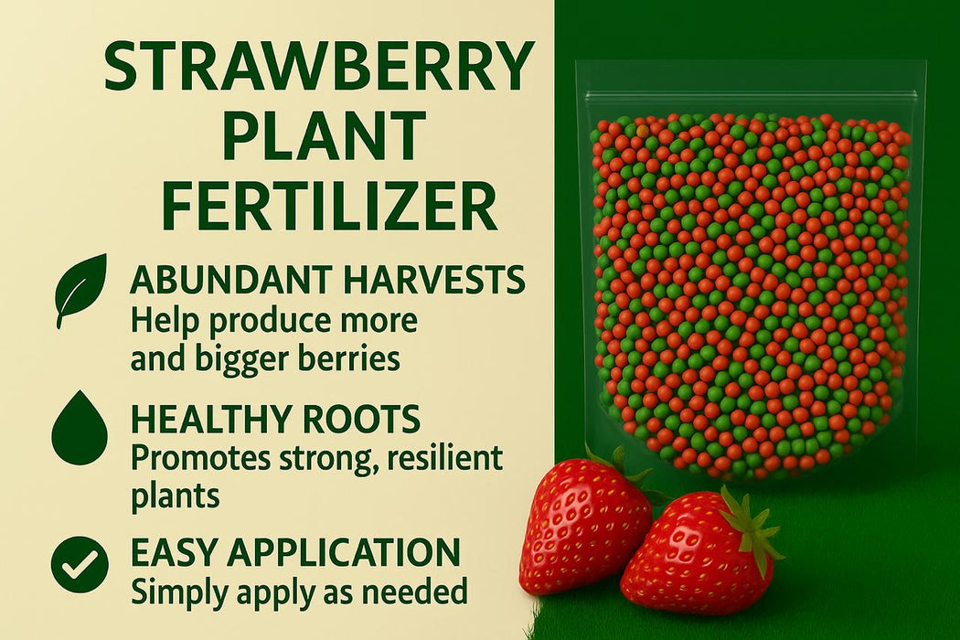 Strawberry Plant Fertilizer