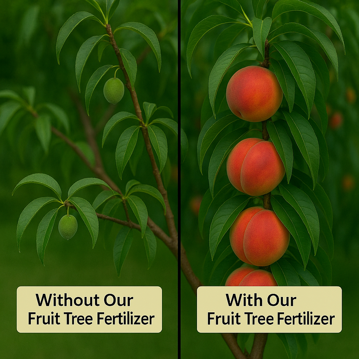 Fruit Tree Fertilizer