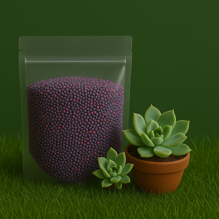 Succulent Plant Fertilizer