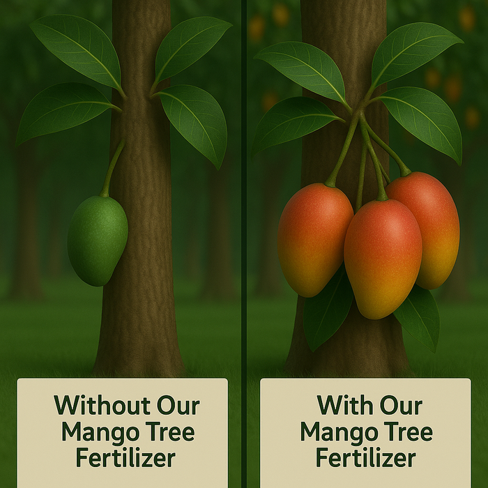 Mango Tree Fertilizer