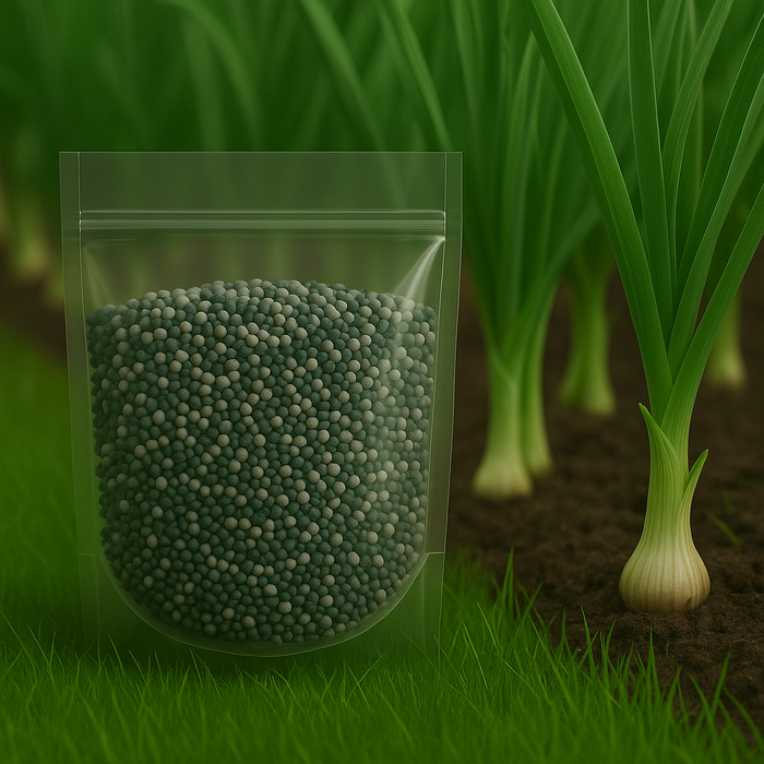 Garlic Plant Fertilizer