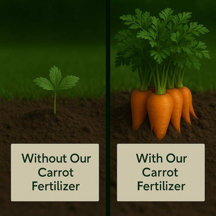 Carrot Fertilizer