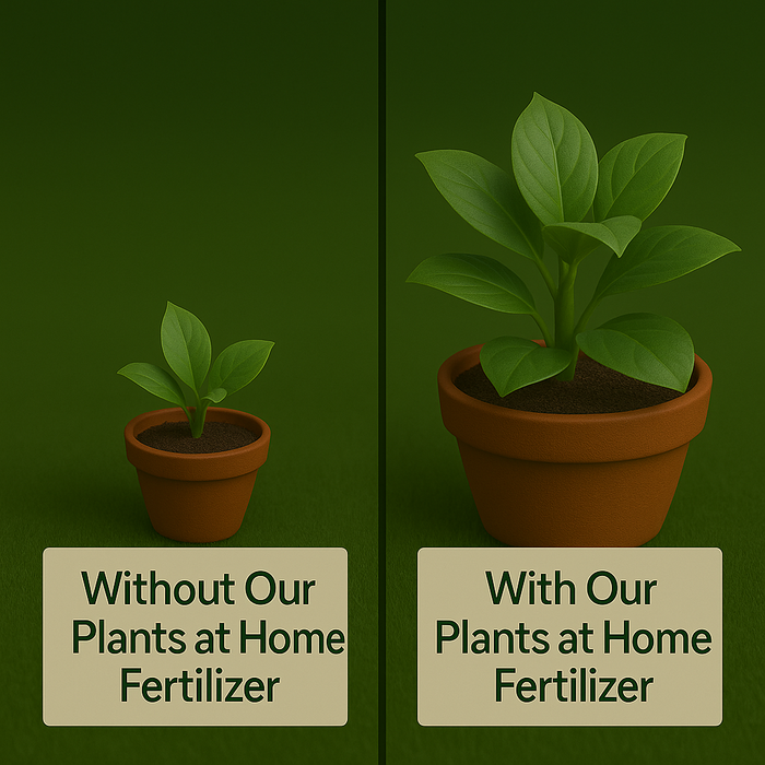 Plants At Home Fertilizer