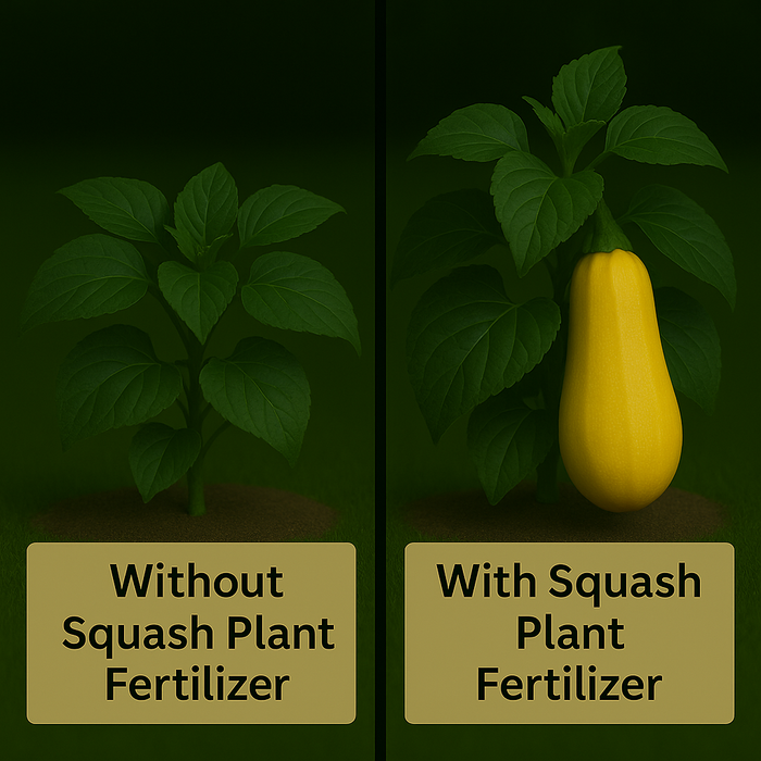 Squash Plant Fertilizer