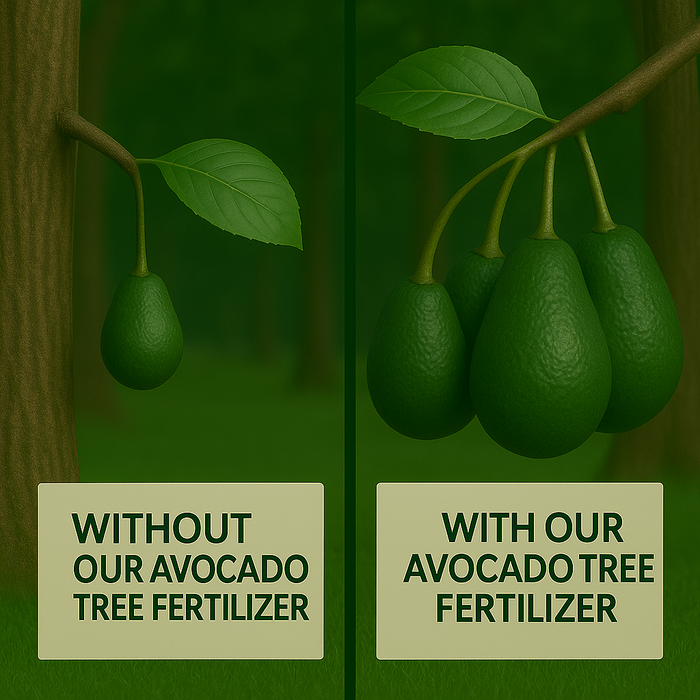 Avocado Tree Fertilizer