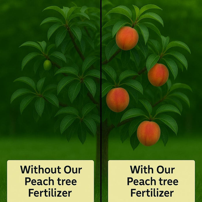 Peach Tree Fertilizer