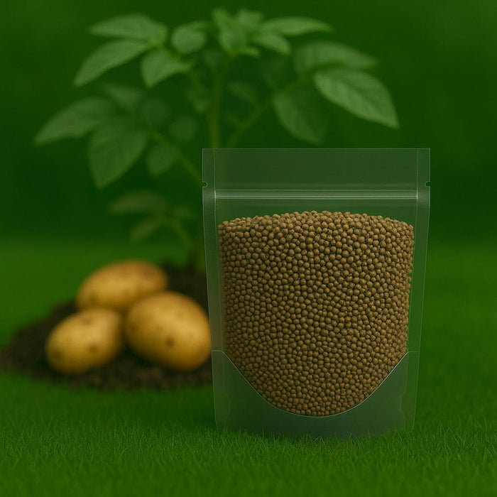 Potato Fertilizer