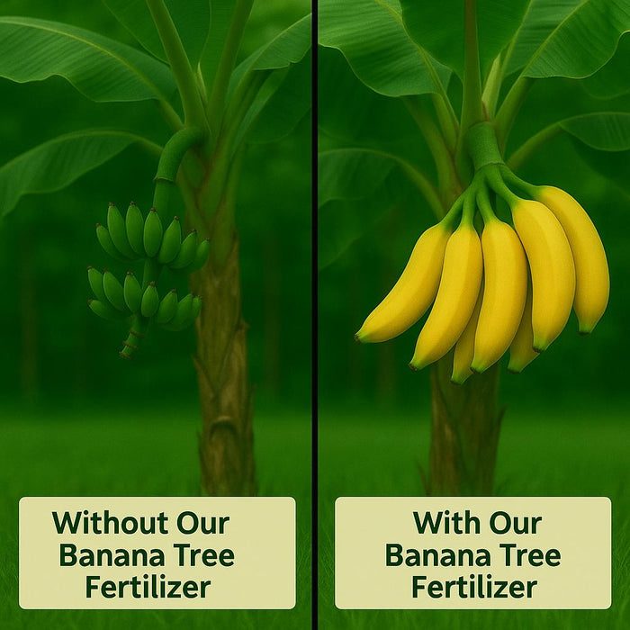 Banana Tree Fertilizer