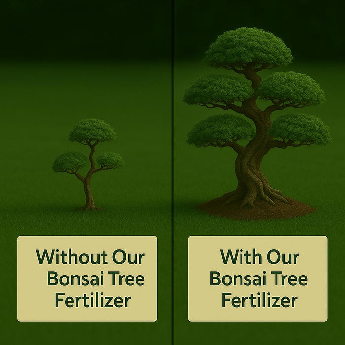 Bonsai Tree Fertilizer