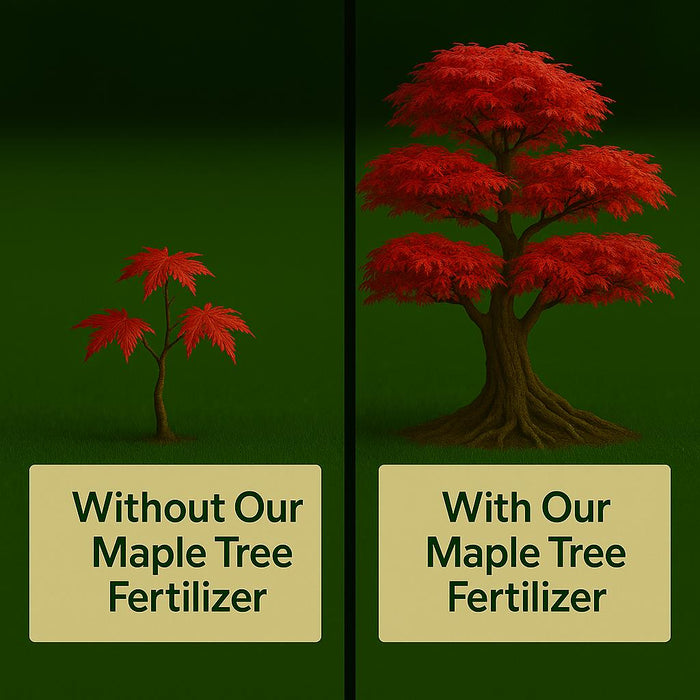 Maple Tree Fertilizer
